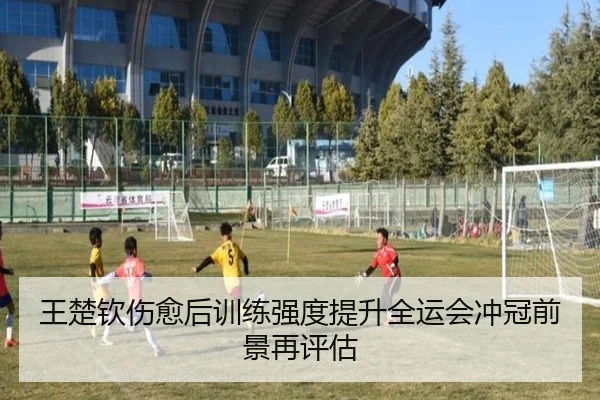 王楚钦伤愈后训练强度提升全运会冲冠前景再评估